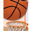 Vertical Banner_basketball.jpg