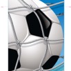 Vertical Banner_soccer.jpg